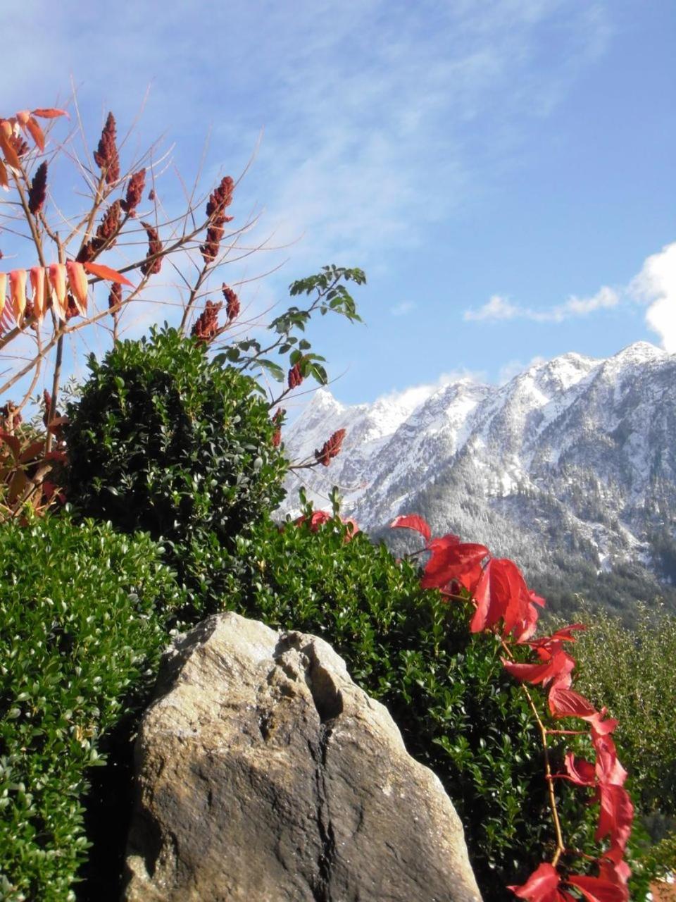 Gasthof Zum Stern เอิทซ์ ภายนอก รูปภาพ